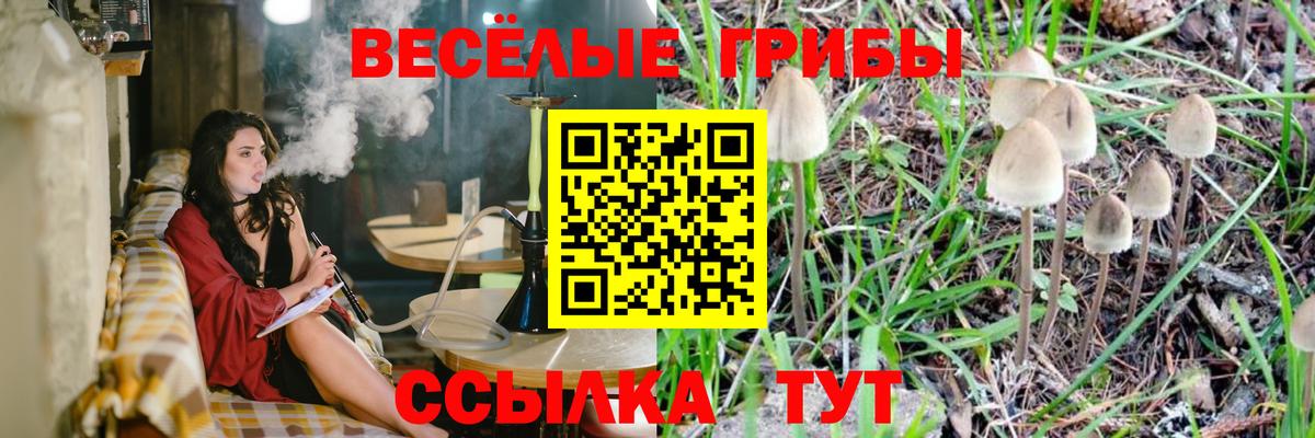 Галлюциногенные грибы GOLDEN TEACHER  Псилоцибиновые грибы Cubensis  Сатка  Вход с VPN 